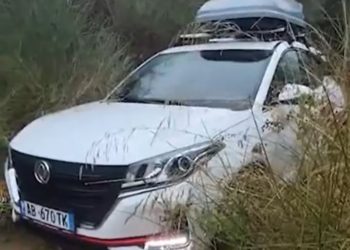 Bllokohet çifti ukrainas në Zvërnec, era e fortë rrëzoi pemën, po ndërhyet për lirimin e rrugës