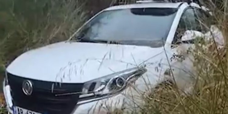 Bllokohet çifti ukrainas në Zvërnec, era e fortë rrëzoi pemën, po ndërhyet për lirimin e rrugës