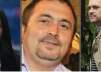 Ekskluzive/ Banditi Ballukut Tan Lepuri përfiton park fotovoltaik në Ersekë duke shkelur ligjin, priten 80 hektarë pyll