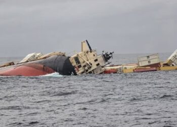 Katastrofë mjedisore në Detin Arabik: Fundosja e anijes shkakton ndotje me miliona grimca plastike në bregdetin e Keralas