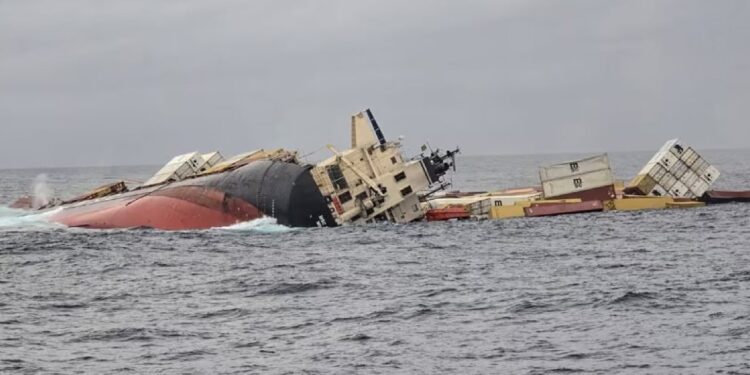 Katastrofë mjedisore në Detin Arabik: Fundosja e anijes shkakton ndotje me miliona grimca plastike në bregdetin e Keralas
