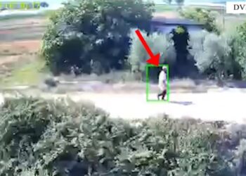 Katër zjarrvënës në Berat vihen në pranga, digjen toka me pemë frutore dhe ullinj.