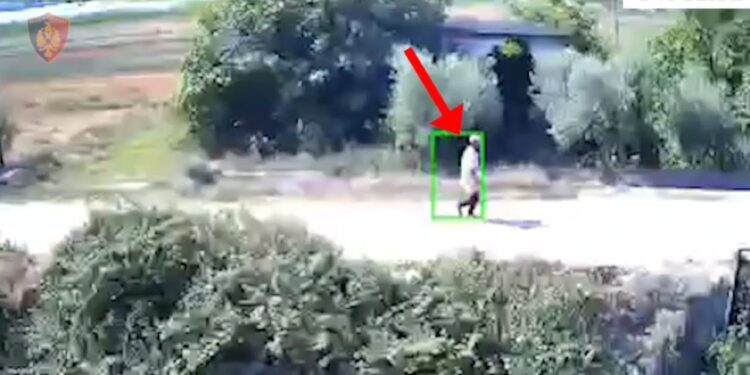 Katër zjarrvënës në Berat vihen në pranga, digjen toka me pemë frutore dhe ullinj.