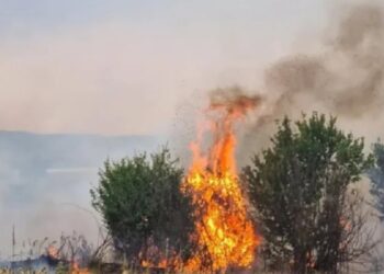 Kosova në gjendje alarmi! 23 të arrestuar për zjarrvënie të qëllimshme, mbi 630 incidente në vetëm një javë.