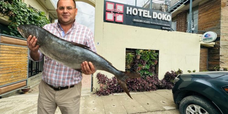 Kush është Ligor Doko, pronari i hotelit ku u gjet "Pole Qorri"