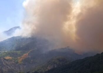 LAJM I FUNDIT/ Ndihmë e menjëhershme e nevojshme në fshatrat e Gramshit, dyshohet për të plagosur