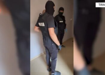 Laboratori i kokainës dhe kanabisit në Yzberisht: Pronari i apartamentit i arrestuar