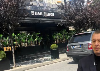 Leli Kaja me "Eco-Elb" sfidon Ramën dhe zë hapësirat publike në Elbasan