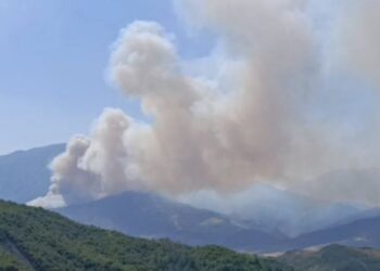 Masiv i zjarrit në Gramsh: 8 grupe në terren për të vlerësuar dëmet, raporti do t’i dorëzohet institucioneve brenda një jave