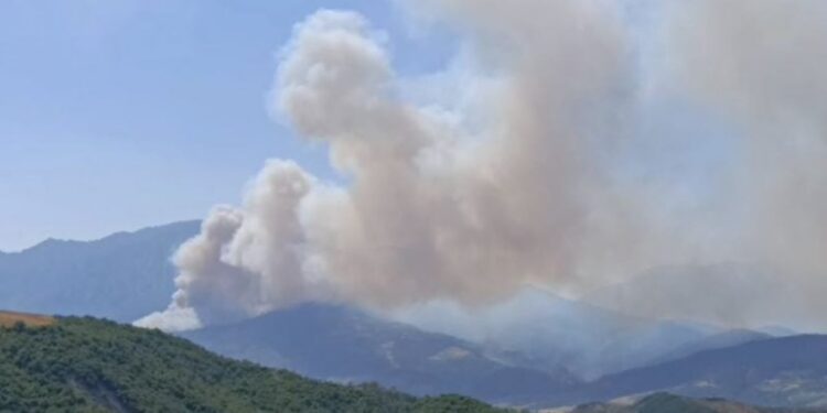 Masiv i zjarrit në Gramsh: 8 grupe në terren për të vlerësuar dëmet, raporti do t’i dorëzohet institucioneve brenda një jave