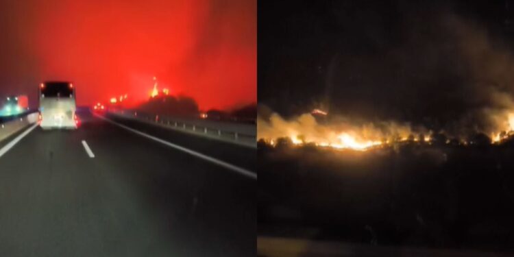 Më shumë se 100 zjarre brenda një dite në Greqi, dhjetëra njerëz në nevojë për ndihmë mjekësore! Situatë kritike në Patra, banorët e 25 zonave evakuohen.