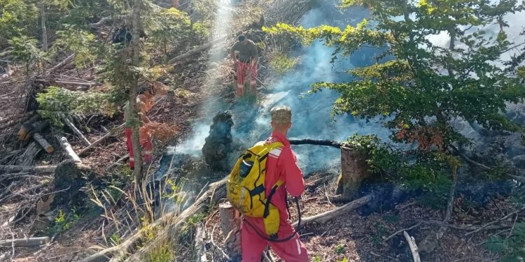 Në 24 orët e fundit, janë regjistruar 24 vatra zjarri; ja cilat janë zonat më të prekura.