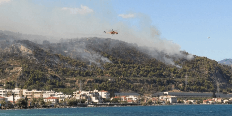 Në lidhje me situatën e zjarreve, Ministria e Mbrojtjes njofton: 9 vatra të shuhura, një e vetme mbetet nën vëzhgim.