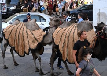 Nëntë njerëz dalin në rrugët e Budapestit për një fushatë ndërgjegjësimi mbi thatësirën.