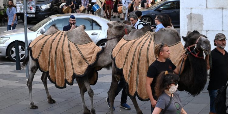 Nëntë njerëz dalin në rrugët e Budapestit për një fushatë ndërgjegjësimi mbi thatësirën.
