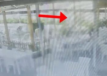 Ngjarje e rëndë në Borsh: 26-vjeçari kërcënon me armë punonjëset e hotelit, nënë e bijë