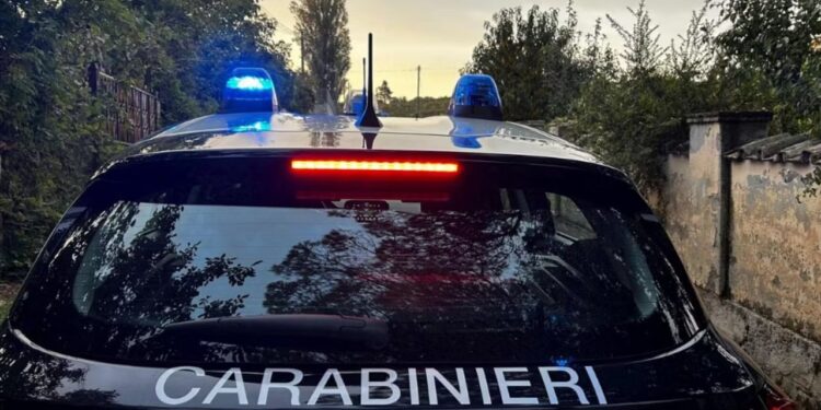 Ngjarje e tmerrshme në Itali: Një i ri sulmon dhe rrëmben një 80-vjeçare në shtëpinë e saj, duke i marrë 500 euro.