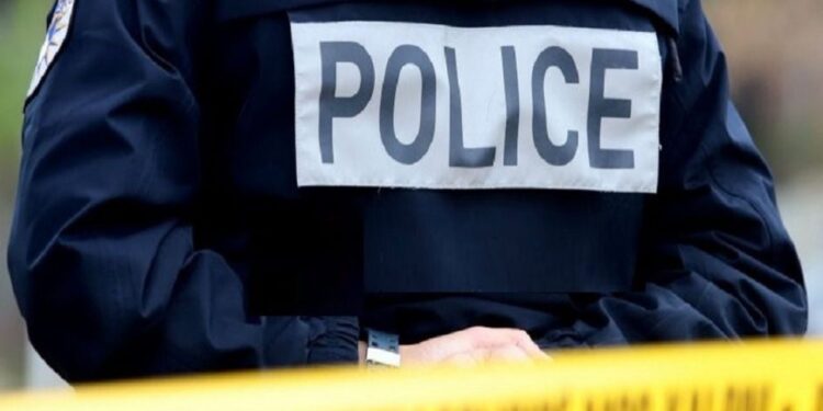 Ngjarje tragjike në Prizren: Një përleshje me qen ka rezultuar me një viktimë!