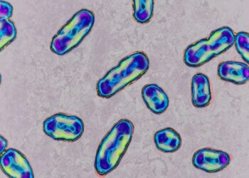 Një banor në Kaliforni kap murtajën pas pickimit nga një plesht