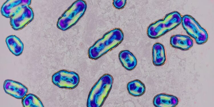 Një banor në Kaliforni kap murtajën pas pickimit nga një plesht