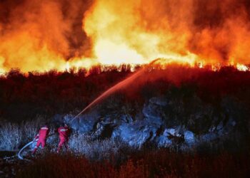 “Një ditë përkushtimi dhe nderimi për të gjitha institucionet shtetërore”, Rama mbi situatën e zjarreve në vend: Gatishmëria është në nivelin maksimal.