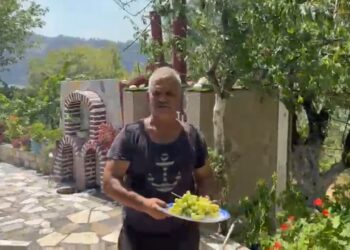 Një moment i veçantë mes zjarrit! Mikpritja e delvinjotit në situatat më të vështira.