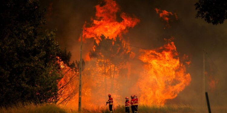 Një person humb jetën nga zjarret në Portugali, mijëra zjarrfikës në betejë me flakët për tri javë.