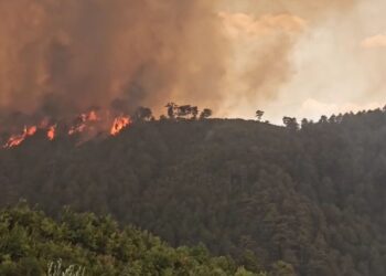 Një person ka humbur jetën dhe disa banorë janë të bllokuar! Katër fshatra në flakë, pamje shokuese nga Gramshi.