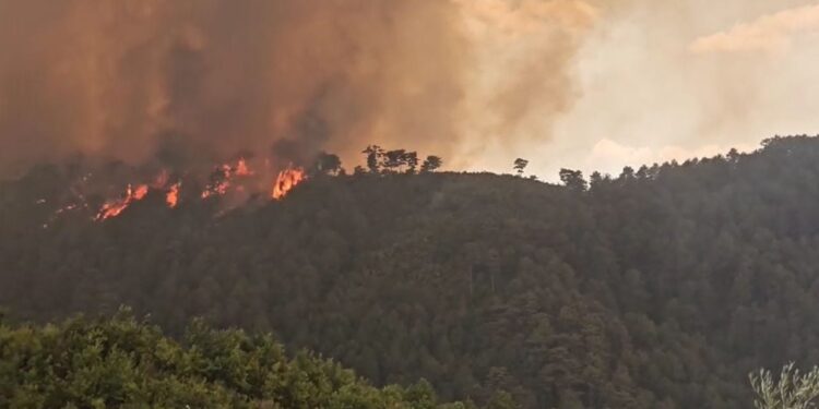 Një person ka humbur jetën dhe disa banorë janë të bllokuar! Katër fshatra në flakë, pamje shokuese nga Gramshi.