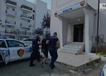 Një tjetër rast i kultivimit të bimëve narkotike zbulohet, arrestohet 59-vjeçari në Mirditë