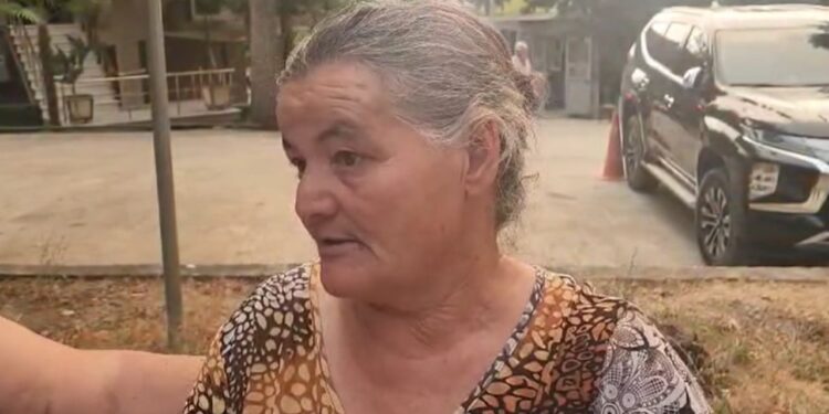 "Nuk ka mbetur asnjë shtëpi" / Zjarret e rrezikshme në Skënderbegas, banorja tregon: Të gjithë u larguan, vetëm një të moshuar nuk e kemi parë.