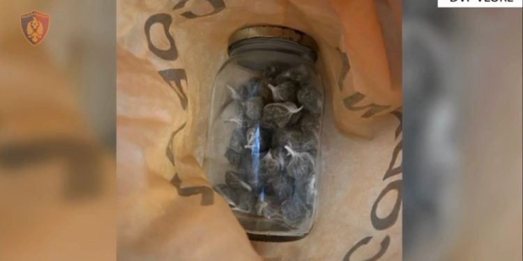 Operacioni antidrogë në Livadhë përfundon, arrestohet 28-vjeçari për tregti me kokainë dhe kanabis në zonat turistike.