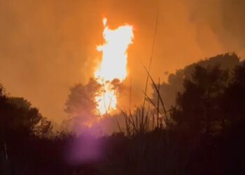 Orë vendimtare në Pishë Poro të Vlorës, zjarrfikësit përballen me flakët! Autoritetet këshillojnë banorët për kujdes të shtuar.