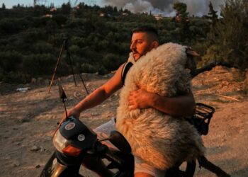 Pamje prekëse nga Greqia që po bëjnë jehonë në botë, banori shpëton një delashe nga zjarri duke e mbajtur në krahë.