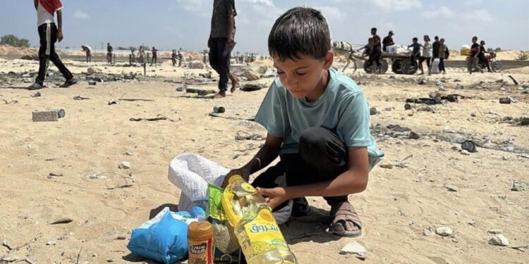 Për herë të parë konfirmohet mungesa e bukës në Gaza! OKB: Uria, varfëria dhe vdekja.