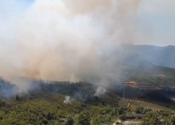 Për të dytën herë në pak ditë: Zjarr afër Uzinës së Armëve në Poliçan