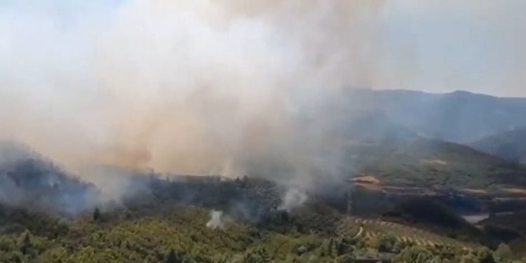 Për të dytën herë në pak ditë: Zjarr afër Uzinës së Armëve në Poliçan