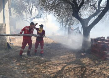 “Përgjegjësit do të mbajnë llogari para Zotit”/ Situatë e rëndë nga zjarret, Dom Gjergj Meta: Apel i sinqertë për të gjithë...