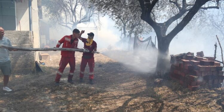 “Përgjegjësit do të mbajnë llogari para Zotit”/ Situatë e rëndë nga zjarret, Dom Gjergj Meta: Apel i sinqertë për të gjithë...