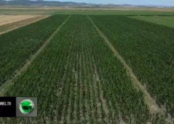 Plan investimesh/ Ministrat Malaj dhe Denaj diskutojnë me fermerët për 9 masat e mbështetjes.