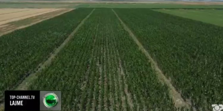 Plan investimesh/ Ministrat Malaj dhe Denaj diskutojnë me fermerët për 9 masat e mbështetjes.