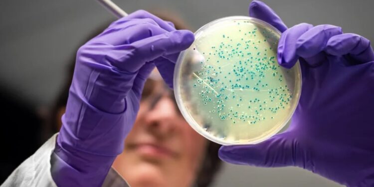 Revolucion në fushën e mjekësisë! Shkencëtarët zhvillojnë dy antibiotikë me ndihmën e inteligjencës artificiale për të luftuar rezistencën bakteriale.