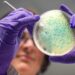 Revolucion në fushën e mjekësisë! Shkencëtarët zhvillojnë dy antibiotikë me ndihmën e inteligjencës artificiale për të luftuar rezistencën bakteriale.