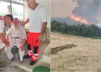 Rrëfimi Vizual: Zjarret përfshijnë fshatin në Gramsh, banorët marrin ndihmën e parë! Pamje shqetësuese të kafshëve.