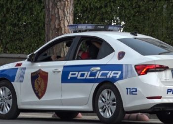 Rrëfimi tragjik: 47-vjeçari humb jetën nga rrebeshi i rrufesë gjatë ruajtjes së bagëtive në Pogradec