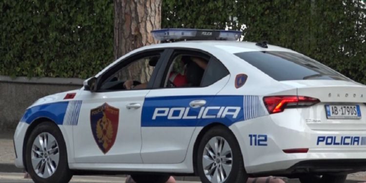 Rrëfimi tragjik: 47-vjeçari humb jetën nga rrebeshi i rrufesë gjatë ruajtjes së bagëtive në Pogradec