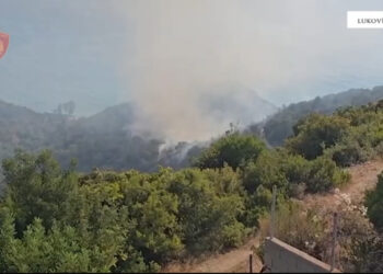 Shkaktarët e zjarreve, një person i arrestuar! Hetimi fillon për dy të tjerë.