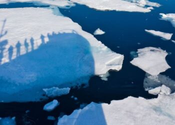 Shkencëtarët befasohen nga ngadalësimi i shkrirjes së akullit: A po rilind Arktiku?