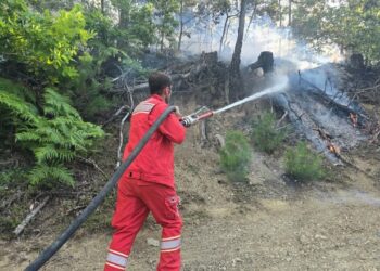 Shqipëria "nën zjarr"! 50 masa zjarri në 24 orë, Ministria e Mbrojtjes: Rreziku i lartë në zona pyjore