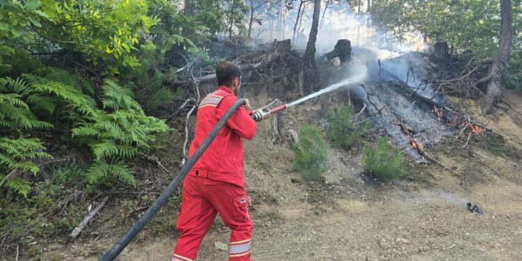 Shqipëria "nën zjarr"! 50 masa zjarri në 24 orë, Ministria e Mbrojtjes: Rreziku i lartë në zona pyjore
